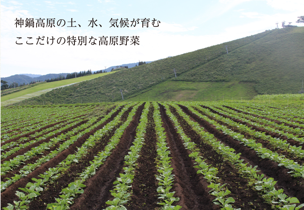 神鍋高原の土、水、気候が育むここだけの特別な高原野菜